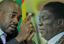 Zimbabwe’s social media election