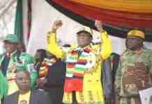 Mnangagwa wins 2018 election