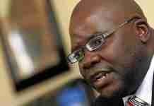 Biti arrested at Zambian border