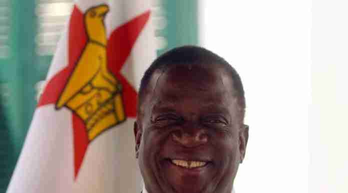 ED: $500m forex secured, rules out quick Zimdollar return