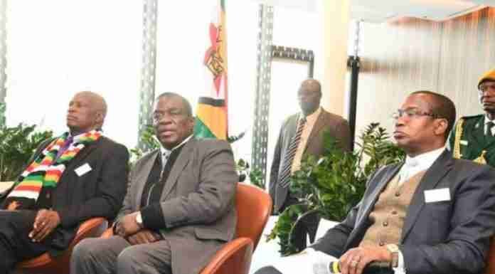 Mnangagwa thrusts Mthuli Ncube into hot seat, drops Cabinet veterans