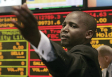 Zimbabwe stock exchange