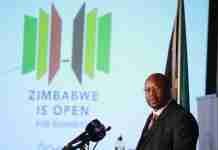 No radical changes on diamond, platinum mine ownership – Mines Minister