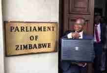 Mthuli’s budget: The Good, The Bad, and The Ugly