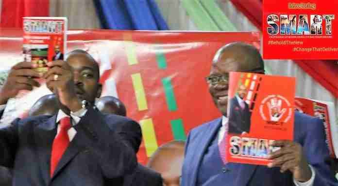 Currency crisis: What would the MDC Alliance do?
