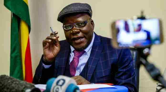 OPINION | Why we must redollarise and scrap ‘rigged’ forex auction – Tendai Biti