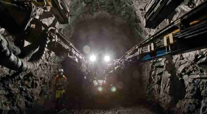 Zimbabwe mining RioZim