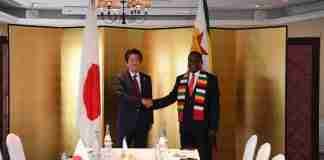 Zimbabwe Japan