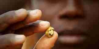 Zimbabwe gold