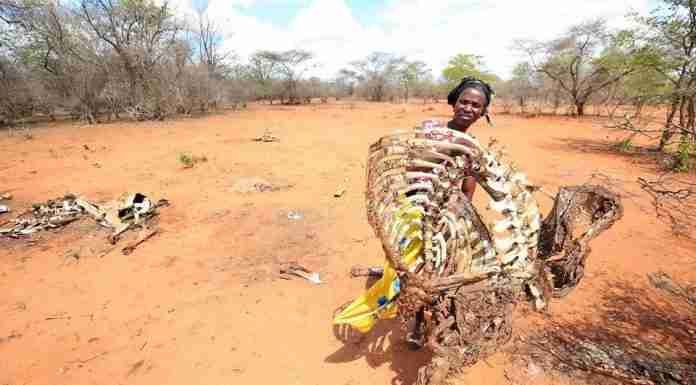 IN PICTURES: One village’s devastation at the hands of Zimbabwe’s worst drought in 40 years