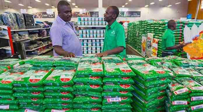 Seed Co Q3 seed sales grow 57% on better rains, bigger govt purchases