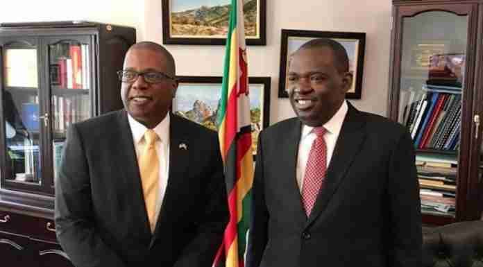‘Foreign adversary’: Zimbabwe summons US ambassador to explain remarks by Trump official