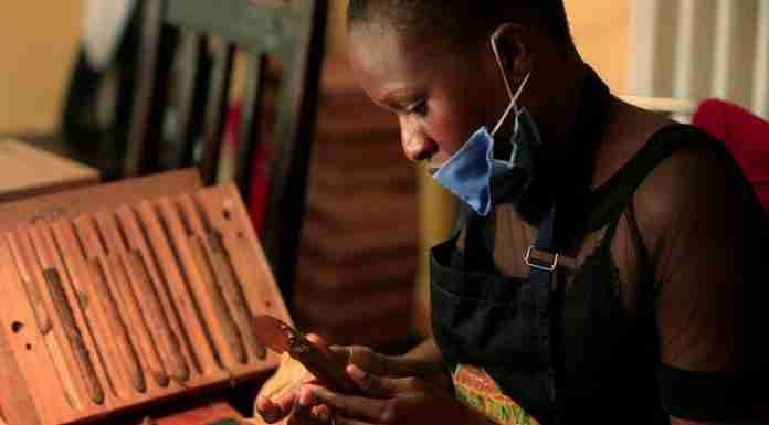 Ready to roll: Zimbabwe cigar venture eyes smokers at home and abroad