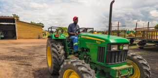 Zimbabwe agriculture