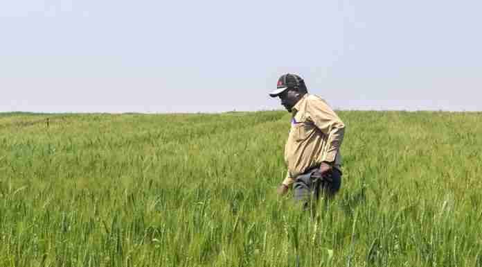 ‘Follow the law, or change it’: Zimbabwe’s biggest farmers’ union sees no land reform reversal under compensation deal