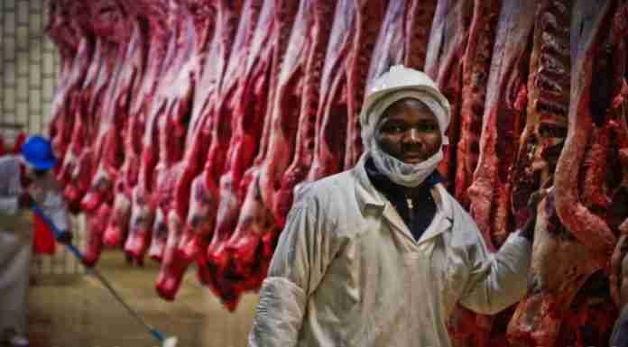 Raising the steaks: Why AfCFTA can be Zimbabwean beef’s gateway back into world markets