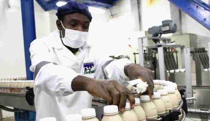 Dairibord volumes down 12.5% as COVID-19, stock feed costs weigh on sales