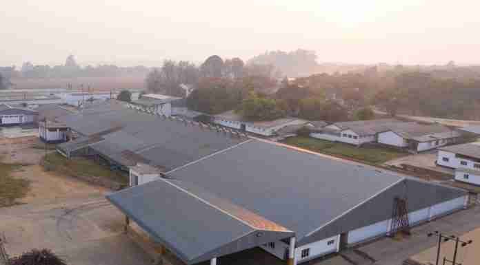 Fruits and crypto: Energy start-up raises US$1.4m in crowd sale for Nhimbe Fresh solar plant