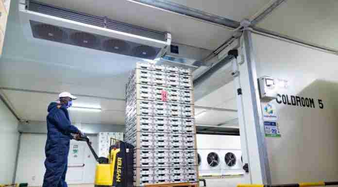 Cold chain supplier InspiraFarms opens regional office in Zimbabwe, sees fresh produce growth