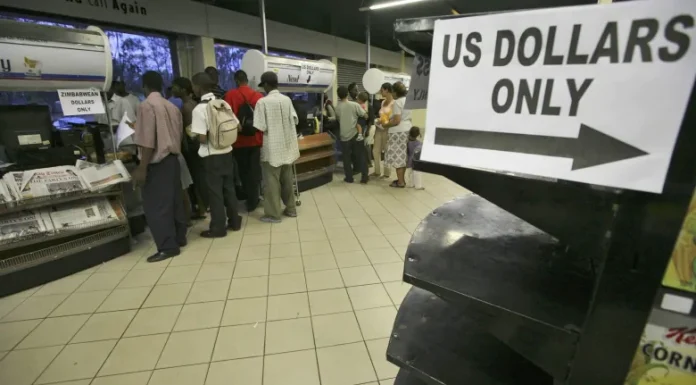 Dollarisation will shrink our economy, warns Delta