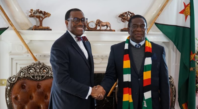 ‘Zimbabweans have suffered enough’: Adesina’s tough mission to ease Zimbabwe’s debt crisis