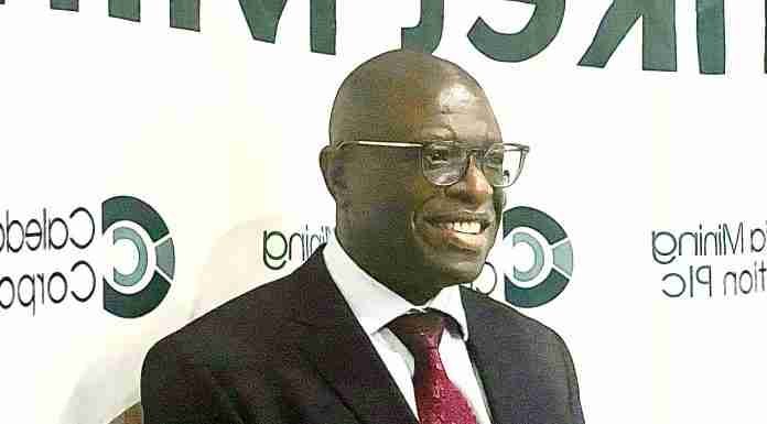 INTERVIEW | ‘We’re long-term players’: Victor Gapare on playing the long game, and why Zim needs more mining explorers