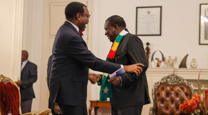 Adesina to Zimbabwe on reforms: ‘We know what needs to be done. The challenge is to do it, and do it quickly’