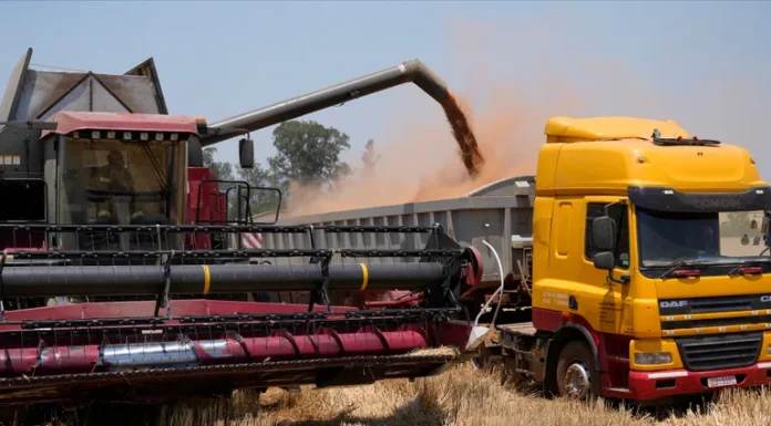 The growth of private funding in Zimbabwe’s grain: Wheat is 76% privately funded, Natfoods cheers end of GMB maize monopoly
