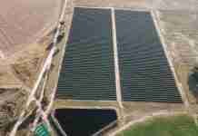 After strong year, Zimbabwean blueberry farmers are investing US$140m to expand production