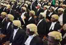 Column | In this jungle of life-altering statutory instruments, the law must be more accessible to all
