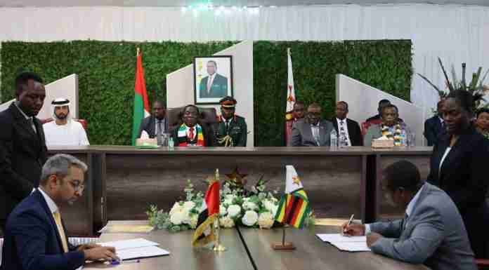 UAE firm gets project rights over 7.5m hectares of Zimbabwean forest in carbon credit deal