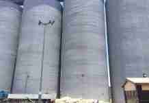 Report: Zimbabwe expects maize harvest to fall 70% to lowest levels in nearly a decade