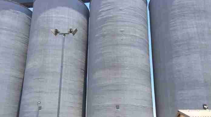 Report: Zimbabwe expects maize harvest to fall 70% to lowest levels in nearly a decade