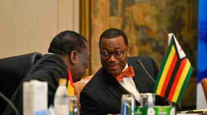 AfDB cuts Zimbabwe’s 2024 growth forecast, urges focus on currency stability