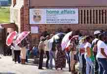 SA Home Affairs Minister to consult over Zim special permits, but pledges tougher action on illegal migrant work