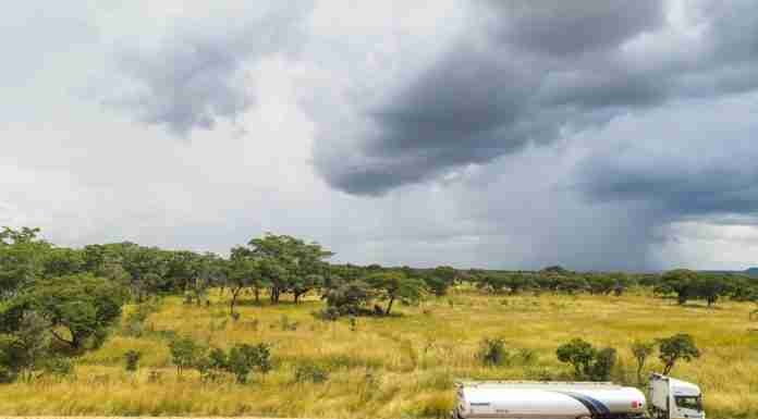 OPINION | Fueling controversy: Why ZIMRA’s tough new rule for fuel tankers is bad news for truckers, and for the economy