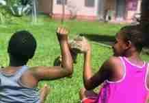 COLUMN | There’s no law: Child protection – Produce the Act Now Without Delay