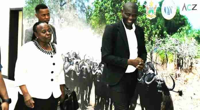 South Africa: No country can move SADC summit from Zimbabwe