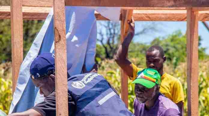 From Trump to Tafuna: Why aid funding cuts should push Zimbabwe government off those donor crutches