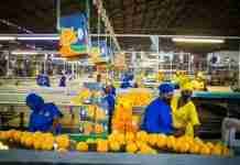 An EU business delegation will target these three key sectors at first-ever Zimbabwe forum