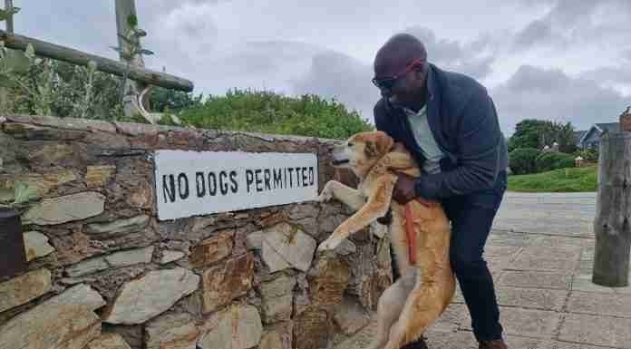 The Chris Kabwato Column | Putting down my dog: Our changing relationship with pets