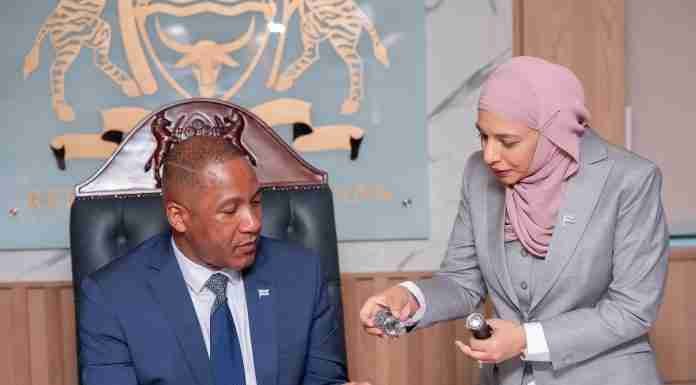 AfDB approves $304M loan to Botswana as diamond reliance dims prospects