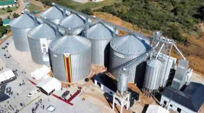 Maize import U-turn shows the cracks in Zimbabwe’s liberalised grain market