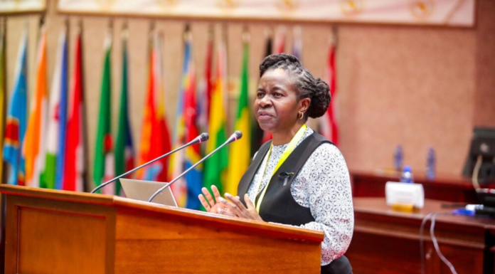 Zim Human Rights Commission: Constitutional changes weaken democracy, must go to referendum